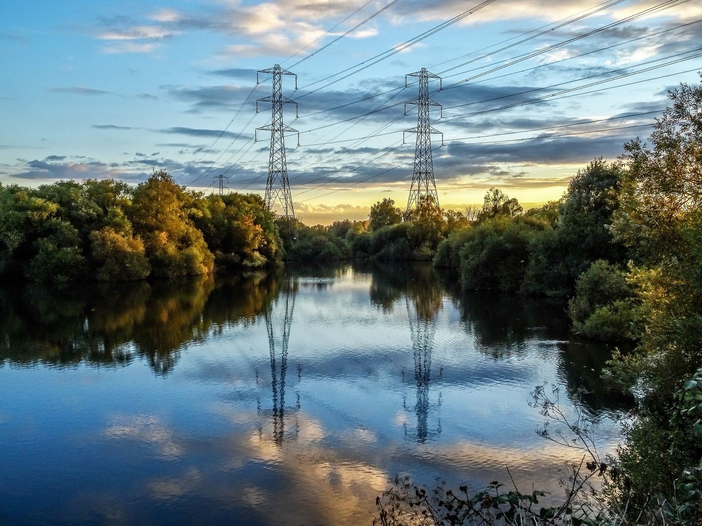 Pylons over the Lea Valley wetlands